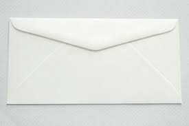 Envelopes White DL 25 Pack
